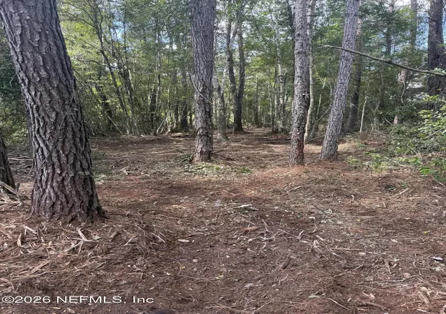 Photo 3 of Land for sale at 000 Le Harvey Rd, Glen Saint Mary, FL 32040 | MLS# 2168616 | Listing updated on 2026-10-12