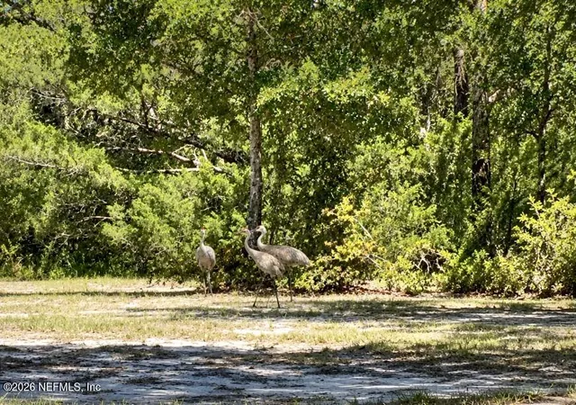 Photo 3 of Land for sale at 124 Shiloh Rd, Melrose, FL 32666 | MLS# 2170283 | Listing updated on 2026-10-21