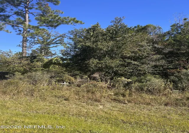 Photo 2 of Land for sale at 0 Us 301, Lawtey, FL 32058 | MLS# 2170558 | Listing updated on 2026-10-24