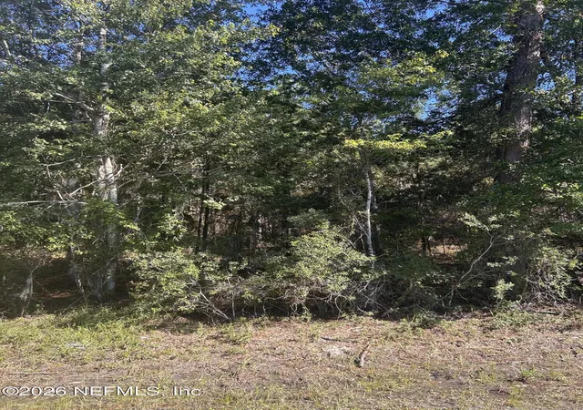 Photo 3 of Land for sale at 0 Us 301, Lawtey, FL 32058 | MLS# 2170558 | Listing updated on 2026-10-24