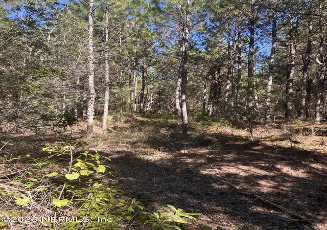 Photo 4 of Land for sale at 0 Us 301, Lawtey, FL 32058 | MLS# 2170558 | Listing updated on 2026-10-24