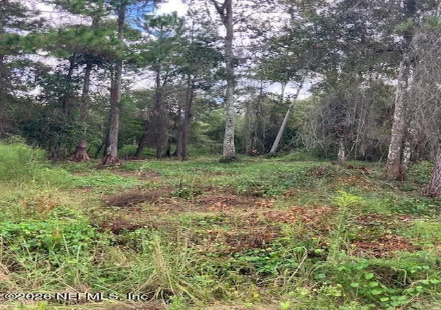 Land for sale at 1881 Hazelnut St, Bunnell, FL 32110 | MLS# 2170795