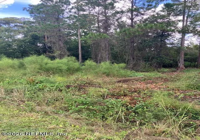 Photo 3 of Land for sale at 1881 Hazelnut St, Bunnell, FL 32110 | MLS# 2170795 | Listing updated on 2026-10-24