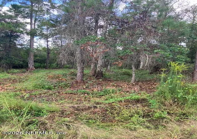 Photo 4 of Land for sale at 1881 Hazelnut St, Bunnell, FL 32110 | MLS# 2170795 | Listing updated on 2026-10-24