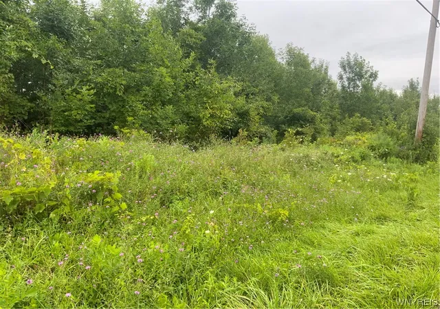 Photo 2 of Land for sale at 00 Gravel Rd N, Medina, NY 14103 | MLS# B1497694 | Listing updated on 2026-09-12