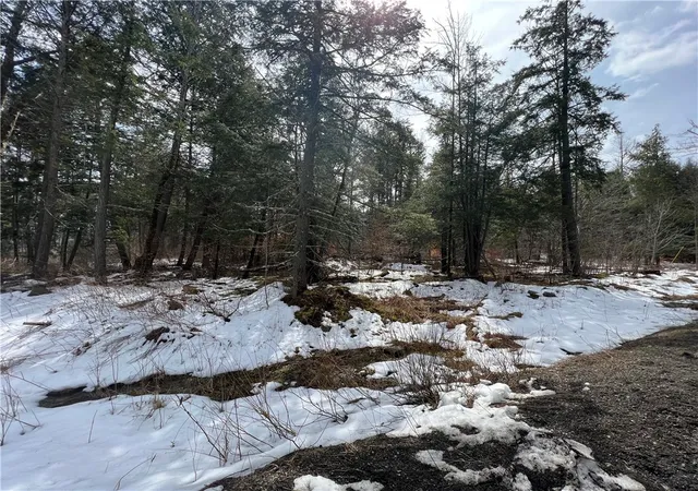 Photo 2 of Land for sale at Lot 3 Burdick Hill Rd, Otego, NY 13825 | MLS# R1529114 | Listing updated on 2026-08-31