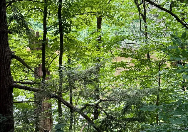 Photo 3 of Sale Pending at Beck Rd, Blossvale, NY 13308 | MLS# S1620009 | Listing updated on 2026-09-09