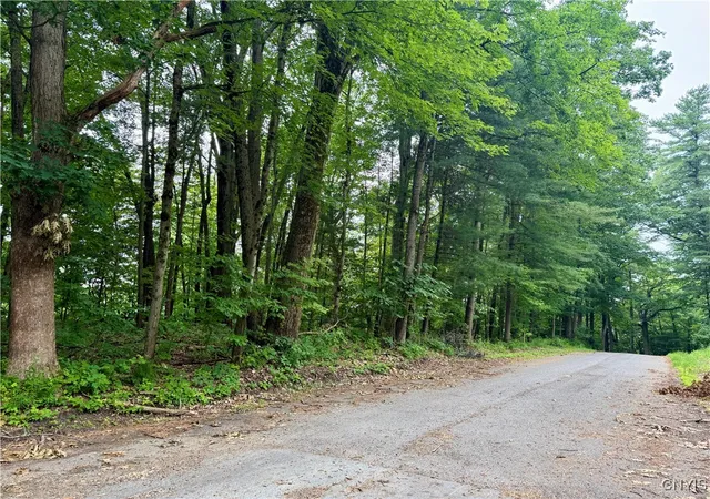 Photo 4 of Sale Pending at Beck Rd, Blossvale, NY 13308 | MLS# S1620009 | Listing updated on 2026-09-09