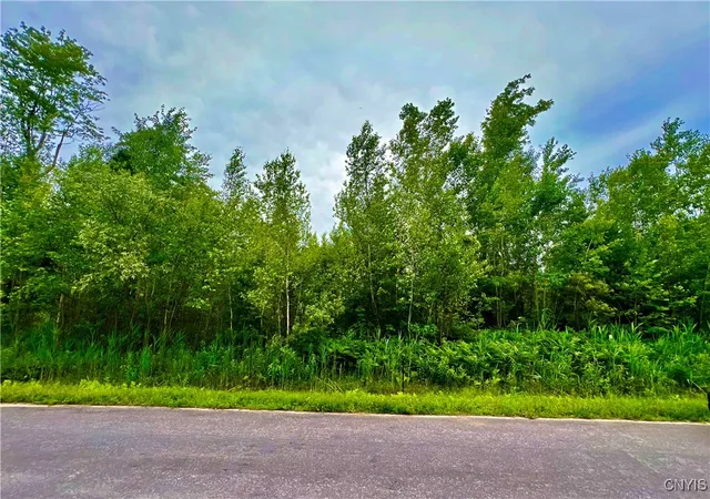 Land for sale at Lot 20 Forest Ridge Dr, Rome, NY 13440 | MLS# S1626104