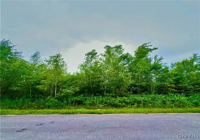 Photo 3 of Land for sale at Lot 20 Forest Ridge Dr, Rome, NY 13440 | MLS# S1626104 | Listing updated on 2026-09-01