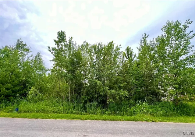 Land for sale at Lot 21 Forest Ridge Dr, Rome, NY 13440 | MLS# S1625151