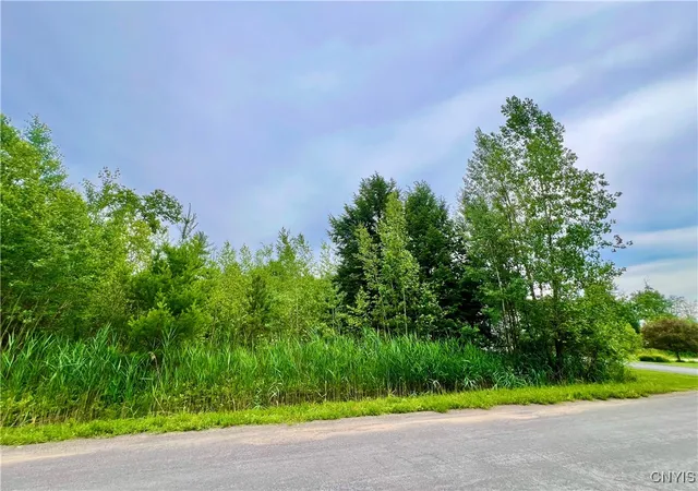 Photo 3 of Land for sale at Lot 7 Forest Ridge Dr, Rome, NY 13440 | MLS# S1626565 | Listing updated on 2026-09-01