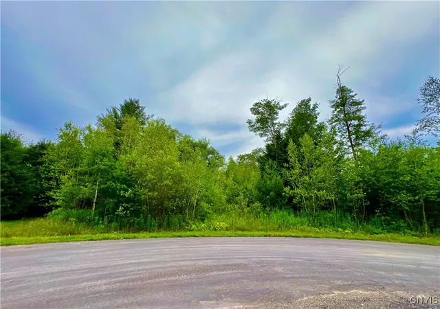Land for sale at Lot 9 Forest Ridge Dr, Rome, NY 13440 | MLS# S1626684