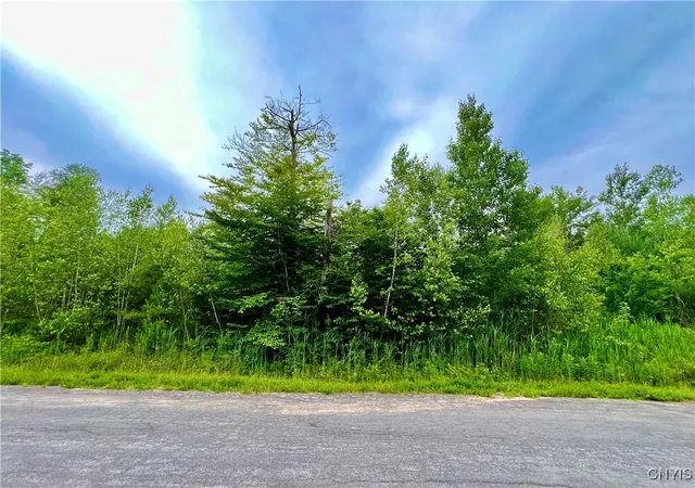 Land for sale at Lot 15 Forest Ridge Dr, Rome, NY 13440 | MLS# S1627049