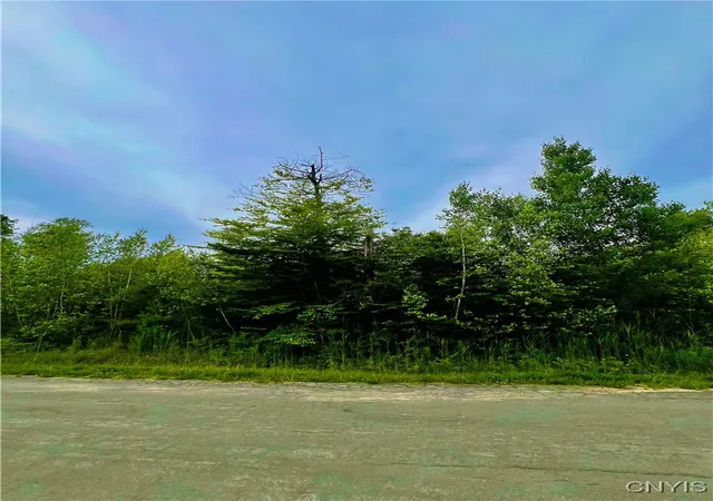 Photo 2 of Land for sale at Lot 15 Forest Ridge Dr, Rome, NY 13440 | MLS# S1627049 | Listing updated on 2026-09-01