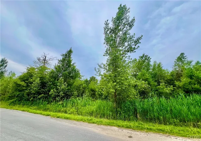 Photo 1 of Land for sale at Lot 16 Forest Ridge Dr, Rome, NY 13440 | MLS# S1627060 | Listing updated on 2026-09-01