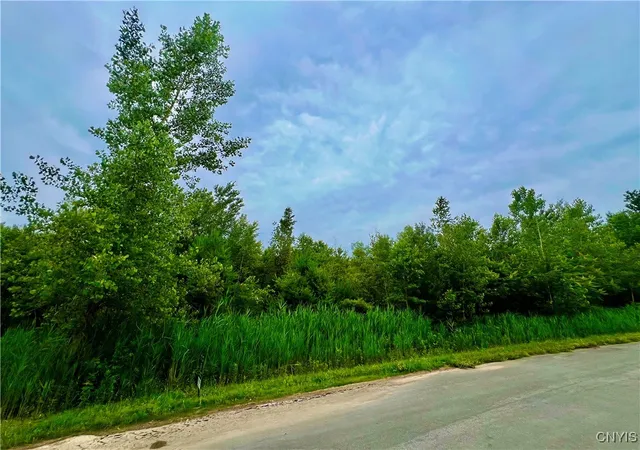 Photo 2 of Land for sale at Lot 16 Forest Ridge Dr, Rome, NY 13440 | MLS# S1627060 | Listing updated on 2026-09-01