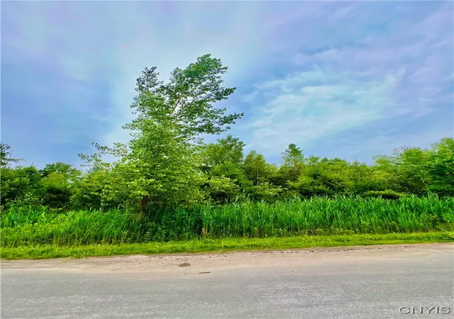 Photo 3 of Land for sale at Lot 16 Forest Ridge Dr, Rome, NY 13440 | MLS# S1627060 | Listing updated on 2026-09-01
