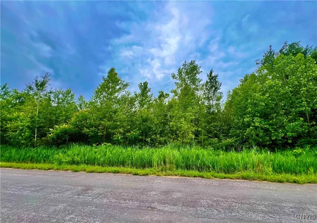 Photo 1 of Land for sale at Lot 17 Forest Ridge Dr, Rome, NY 13440 | MLS# S1627103 | Listing updated on 2026-09-01