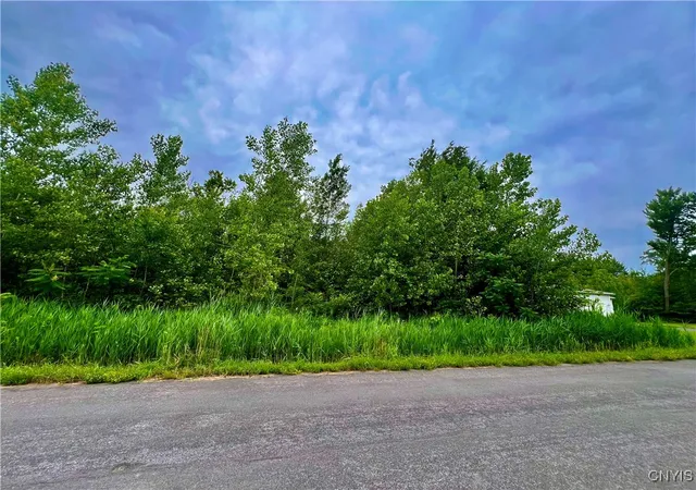 Photo 2 of Land for sale at Lot 17 Forest Ridge Dr, Rome, NY 13440 | MLS# S1627103 | Listing updated on 2026-09-01