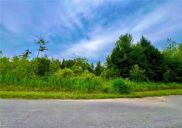 Photo 1 of Land for sale at Lot 6 Forest Ridge Dr, Rome, NY 13440 | MLS# S1627338 | Listing updated on 2026-09-01