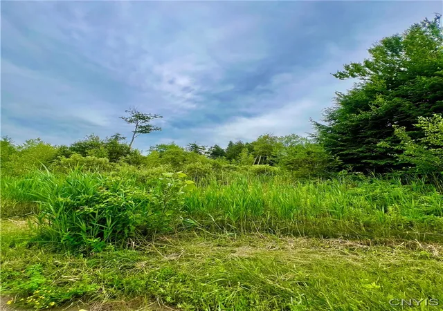 Photo 4 of Land for sale at Lot 6 Forest Ridge Dr, Rome, NY 13440 | MLS# S1627338 | Listing updated on 2026-09-01