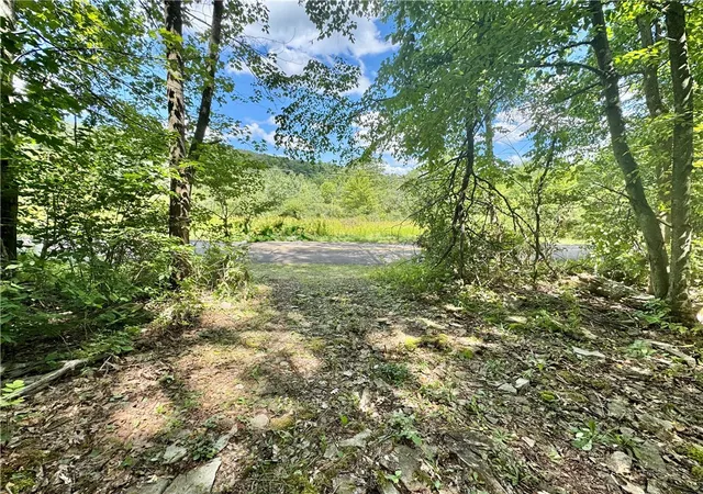 Land for sale at 0 Breed Holw Rd, Corning, NY 14830 | MLS# R1625163
