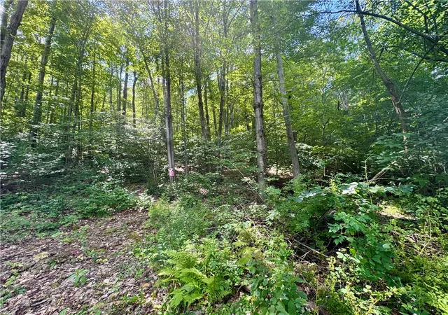 Photo 2 of Land for sale at 0 Breed Holw Rd, Corning, NY 14830 | MLS# R1625163 | Listing updated on 2026-08-17