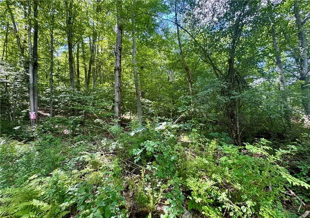 Photo 3 of Land for sale at 0 Breed Holw Rd, Corning, NY 14830 | MLS# R1625163 | Listing updated on 2026-08-17