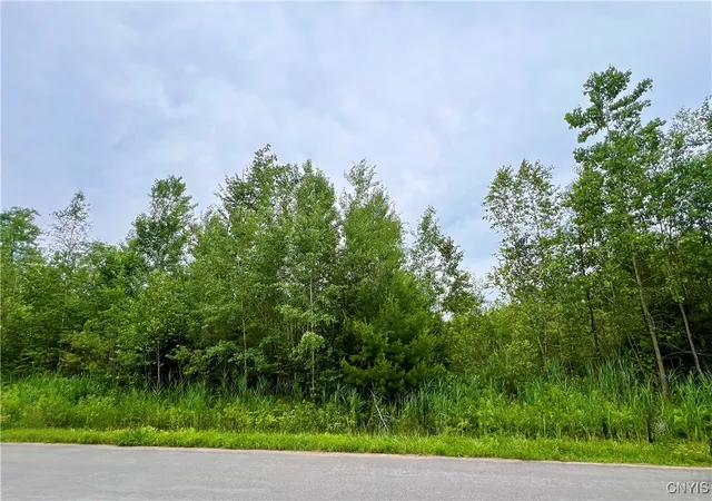 Photo 1 of Land for sale at Lot 19 Forest Ridge Dr, Rome, NY 13440 | MLS# S1627706 | Listing updated on 2026-09-01
