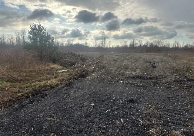 Photo 1 of Land for sale at 10445 County Rd, Clarence, NY 14031 | MLS# B1640627 | Listing updated on 2026-09-11