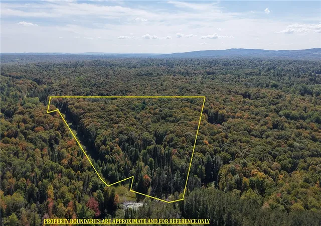 Photo 1 of Land for sale at 78 Culver Brk Rd, Boonville, NY 13309 | MLS# R1652221 | Listing updated on 2026-08-24
