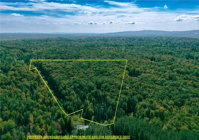 Photo 2 of Land for sale at 78 Culver Brk Rd, Boonville, NY 13309 | MLS# R1652221 | Listing updated on 2026-08-24