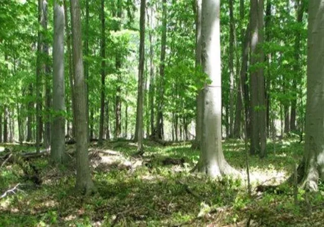 Photo 1 of Sale Pending at 355 Townley Hl Rd, Horseheads, NY 14845 | MLS# R1652607 | Listing updated on 2026-09-08