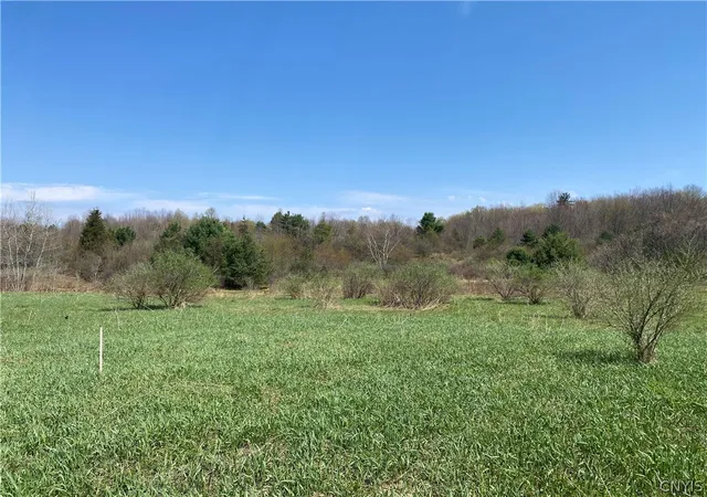 Photo 2 of Land for sale at County Route 4, Palermo, NY 13069 | MLS# S1652795 | Listing updated on 2026-09-03