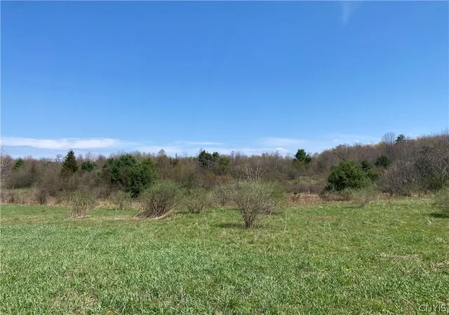 Photo 3 of Land for sale at County Route 4, Palermo, NY 13069 | MLS# S1652795 | Listing updated on 2026-09-03