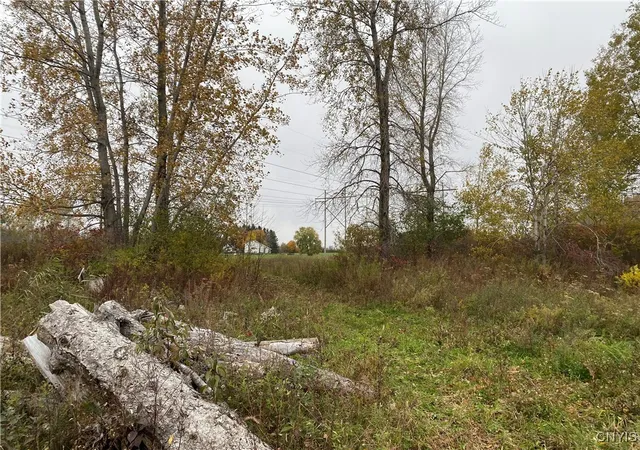 Photo 1 of Land for sale at 0 Caughdenoy Rd, Clay, NY 13041 | MLS# S1656085 | Listing updated on 2026-09-15