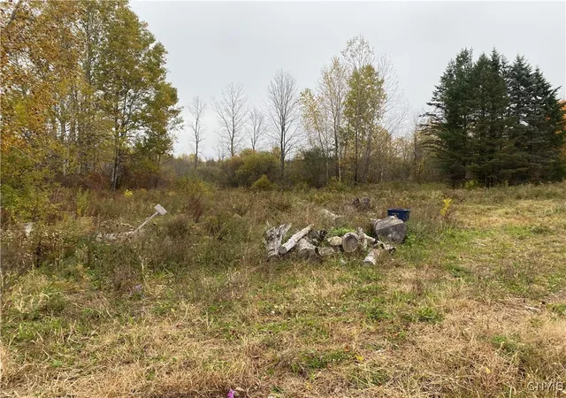 Photo 3 of Land for sale at 0 Caughdenoy Rd, Clay, NY 13041 | MLS# S1656085 | Listing updated on 2026-09-15