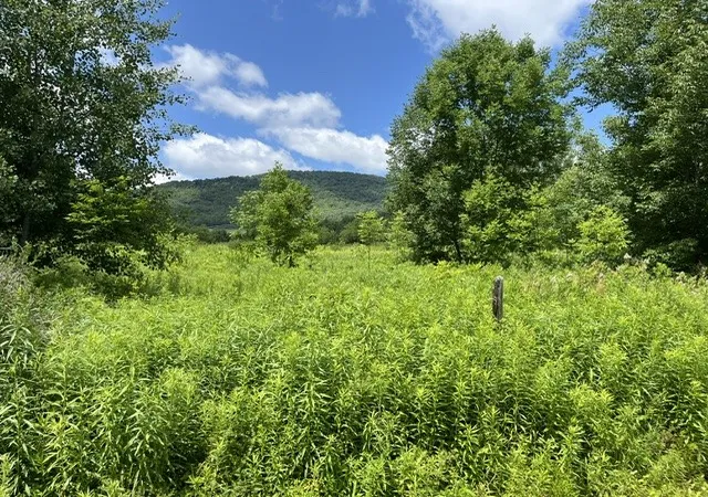 Photo 1 of Land for sale at Narrow Notch Rd, Stamford, NY 12167 | MLS# R1661368 | Listing updated on 2026-08-05