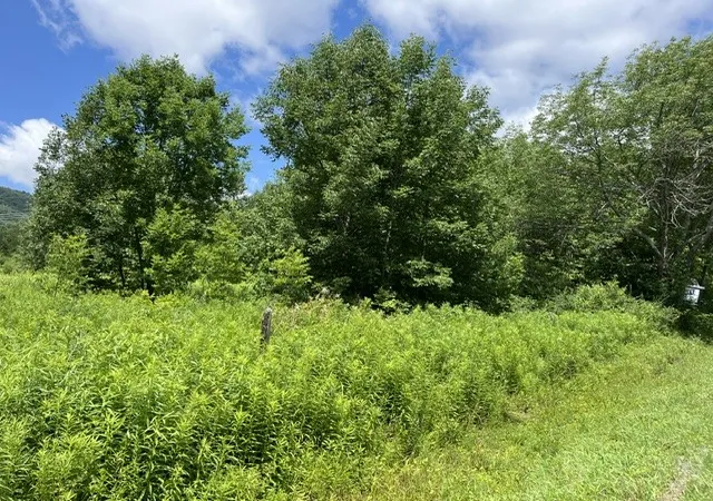 Photo 2 of Land for sale at Narrow Notch Rd, Stamford, NY 12167 | MLS# R1661368 | Listing updated on 2026-08-05