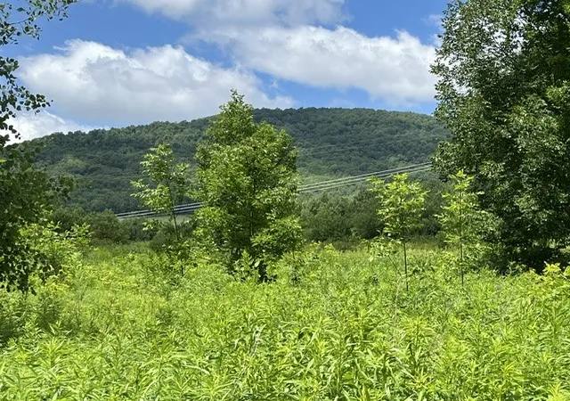 Photo 3 of Land for sale at Narrow Notch Rd, Stamford, NY 12167 | MLS# R1661368 | Listing updated on 2026-08-05