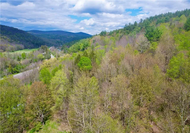 Photo 1 of Land for sale at (Undisclosed), Lexington, NY 12492 | MLS# R1665000 | Listing updated on 2026-08-18