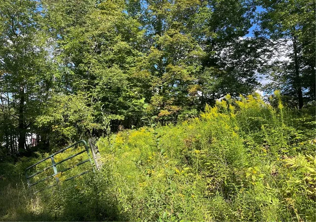 Photo 1 of Land for sale at 19221 Turnpike Rd, Meredith, NY 13757 | MLS# R1667342 | Listing updated on 2026-09-15