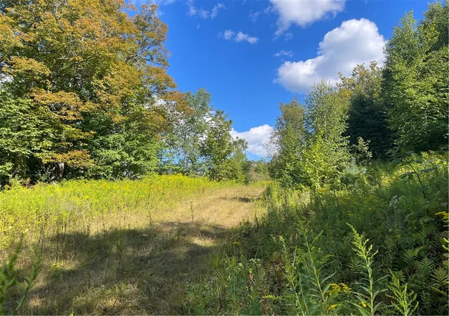 Photo 3 of Land for sale at 19221 Turnpike Rd, Meredith, NY 13757 | MLS# R1667342 | Listing updated on 2026-09-15