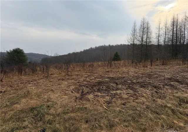 Photo 1 of Land for sale at 0 Co Hwy 16, Burlington Flats, NY 13315 | MLS# R1668658 | Listing updated on 2026-08-31