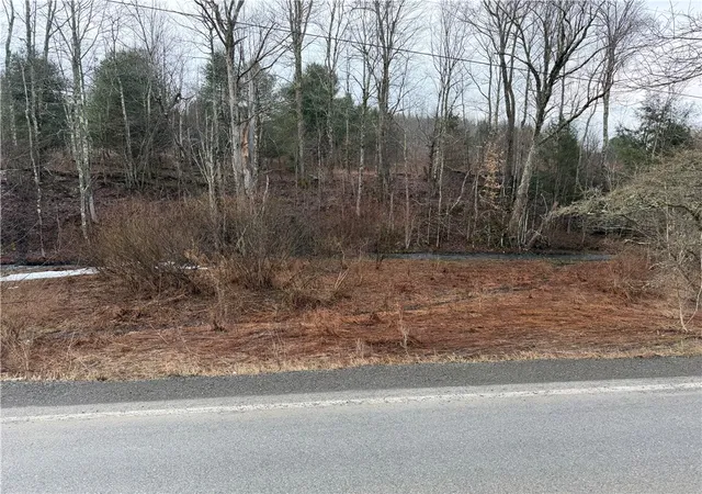 Photo 2 of Land for sale at 0 Co Hwy 16, Burlington Flats, NY 13315 | MLS# R1668658 | Listing updated on 2026-08-31
