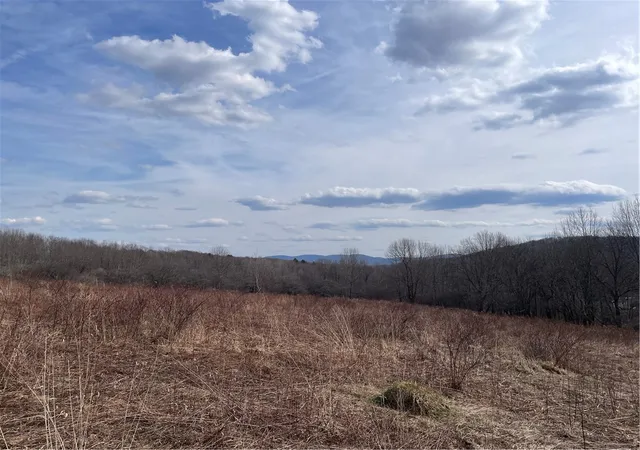 Photo 2 of Land for sale at 0 Swantak Rd, Kortright, NY 13842 | MLS# R1668549 | Listing updated on 2026-09-02
