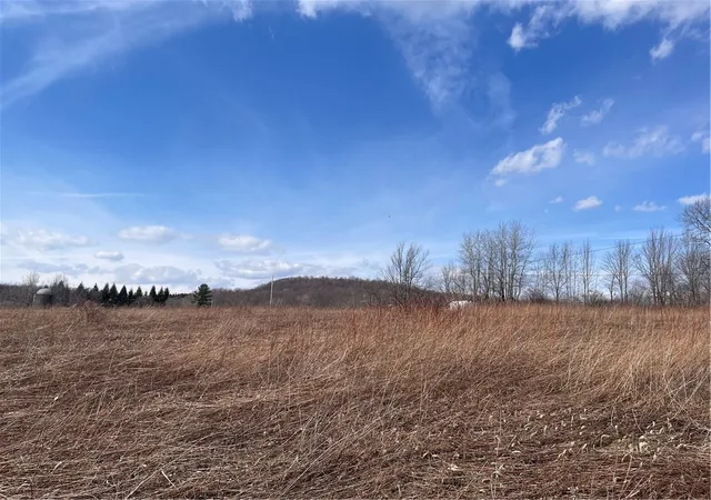 Photo 3 of Land for sale at 0 Swantak Rd, Kortright, NY 13842 | MLS# R1668549 | Listing updated on 2026-09-02