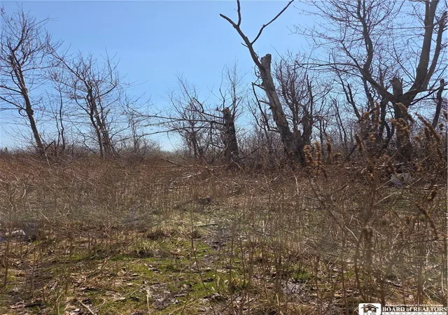 Photo 3 of Land for sale at 5281 Berry Rd, Fredonia, NY 14063 | MLS# R1672298 | Listing updated on 2026-09-10