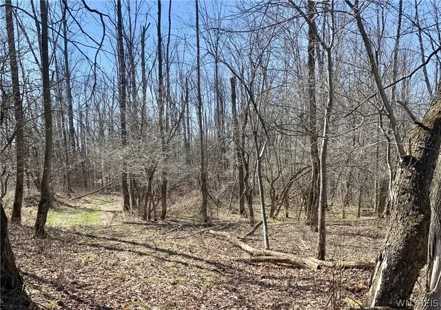 Photo 2 of Sale Pending at 6320 Stinson Rd, Arcade, NY 14009 | MLS# B1672842 | Listing updated on 2026-08-24